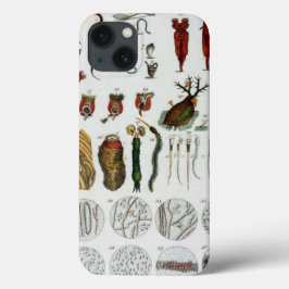 Micro organisms animales vintage biology chart tab Case-Mate iPhone hülle