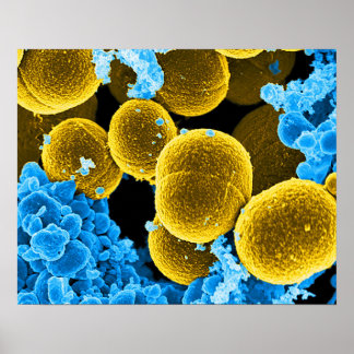 microbiologie abstraite art poster personnalisé to