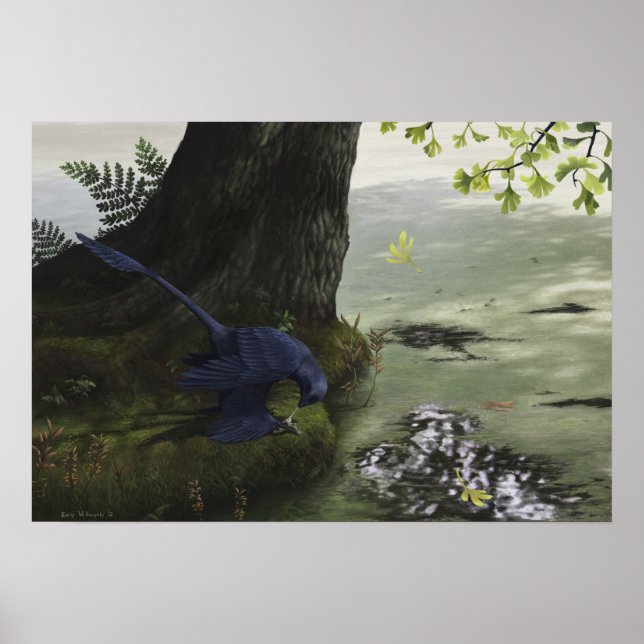 Microraptor Piscivory Print Poster (Vorne)
