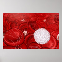 Microscopic look at blood cells