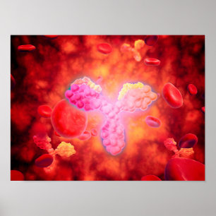 Microscopic View Of Human Anitbodies Poster
