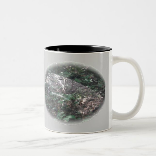 Microthena Spider Orb Web Coordinated Items Zweifarbige Tasse (Rechts)