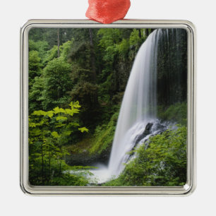 Middle North Falls, Silver Falls State Park, Silbernes Ornament