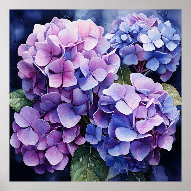 Midnight Garden Violet Hydrangea Wassercolor Poster (Vorne)