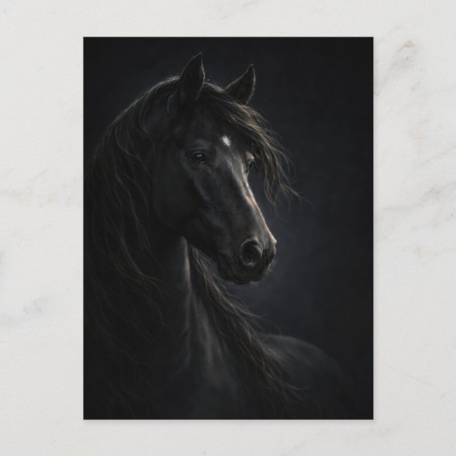 Midnight Sky | Pferdekunst | Postkarte (Vorderseite)