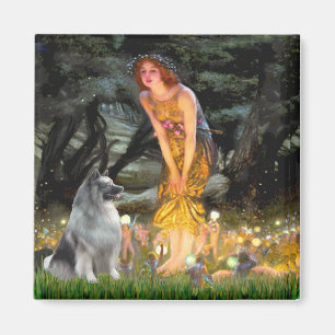 Midsommer Eve - Keeshond Magnet