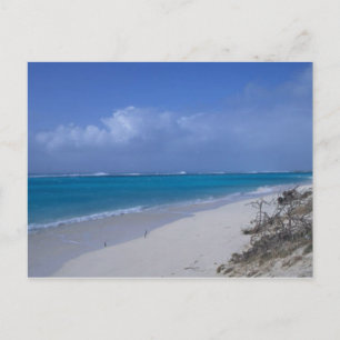 Midway Atoll Beach Postkarte