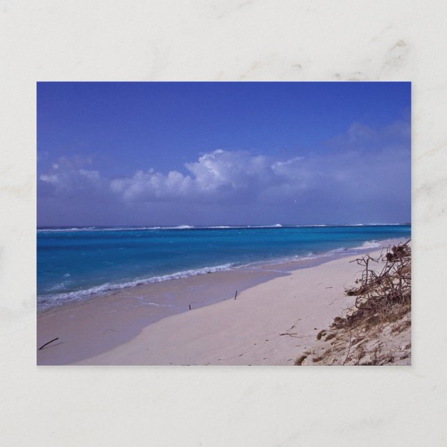 Midway Atoll Strand Postkarte (Vorderseite)