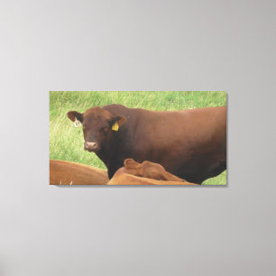Midwest Cow Photographie Toile Enveloppée Art