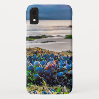 Miesmuscheln Case-Mate iPhone Hülle