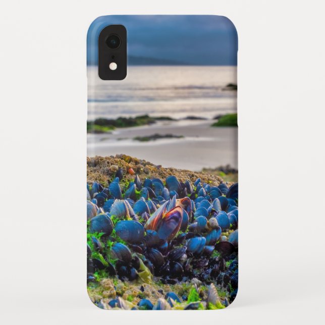 Miesmuscheln Case-Mate iPhone Hülle (Rückseite)
