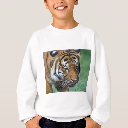 Mietmalaysische Tiger-Nahaufnahme Sweatshirt