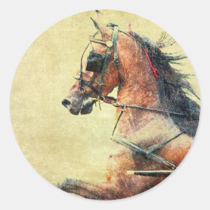 Mietpferd-Pony Runder Aufkleber
