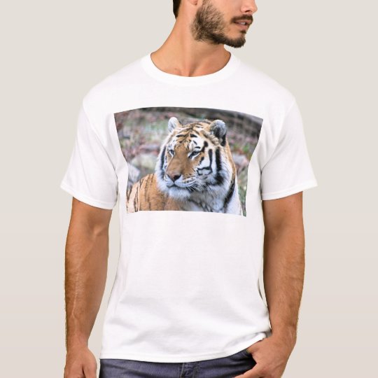 Mietstoic-königlicher bengalischer Tiger T-Shirt
