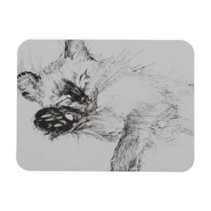 Miezekatze 'Baby Magnet