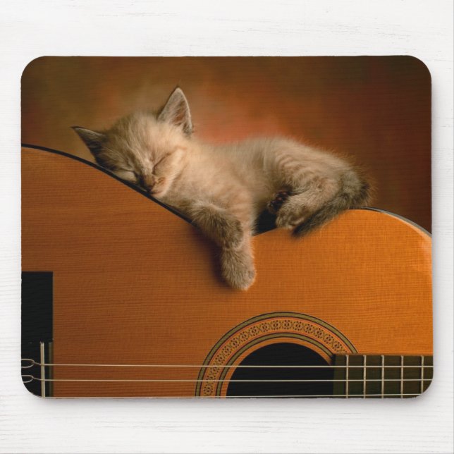 Miezekatze, die auf Gitarre Mousepad schläft (Vorne)