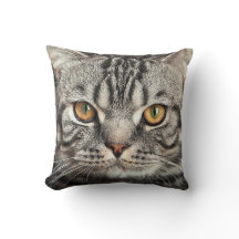 Miezekatze-Gesichts-Nahaufnahme-Kissen