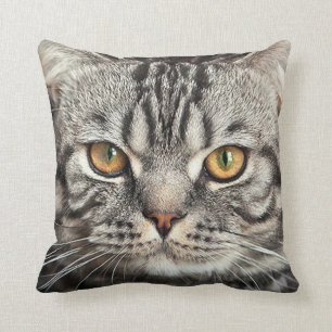Miezekatze-Gesichts-Nahaufnahme-Kissen Kissen