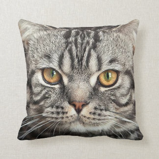 Miezekatze-Gesichts-Nahaufnahme-Kissen Kissen