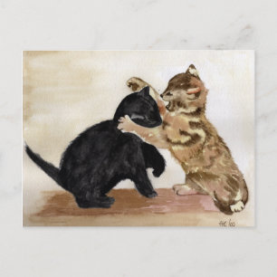 Miezekatze Kats Postkarte