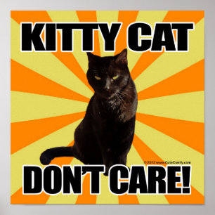 Miezekatze-Katze interessieren sich nicht Poster