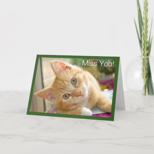 Miezekatze-Katze - Kätzchen-Fräulein You Card Karte (Vorderseite)