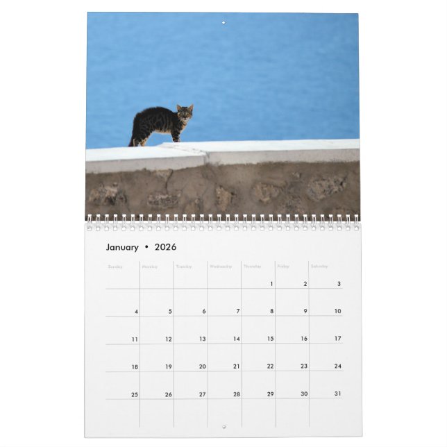 Miezekatze-Katzen von Griechenland Kalender (Jan 2026)