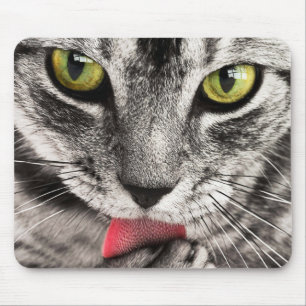Miezekatze lecken mousepad