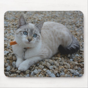 Miezekatze Mousepad