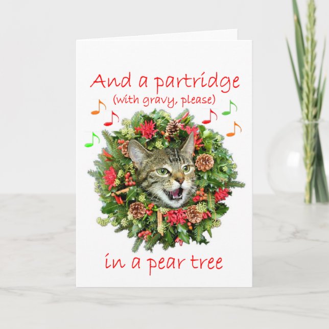 Miezekatze singt "zwölf Tage Weihnachten " (Vorderseite)