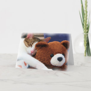 Miezekatze-Teddybär-Freund-Karte Karte
