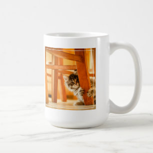 Miezekatze unter Stuhl Kaffeetasse