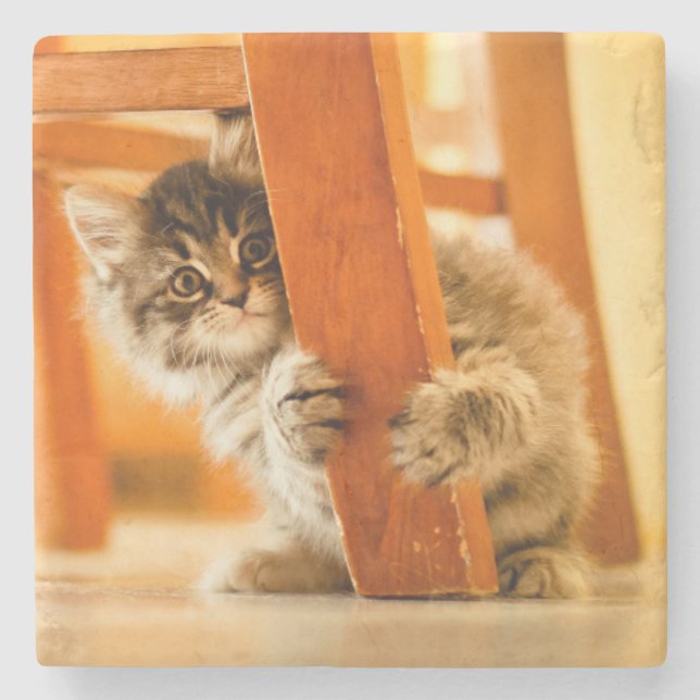 Miezekatze unter Stuhl Steinuntersetzer (Vorderseite)