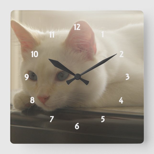 Miezekatze-Wanduhr Quadratische Wanduhr (Vorderseite)