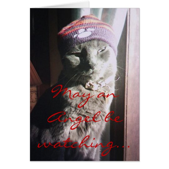 Miezekatze-Weihnachten - besonders angefertigt - Karte