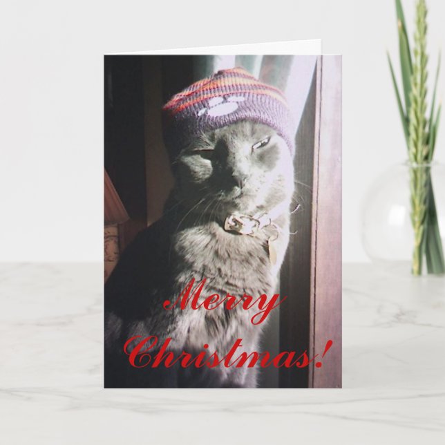 Miezekatze-Weihnachten Feiertagskarte (Vorderseite)