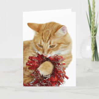 Miezekatze-Weihnachtskarte Feiertagskarte