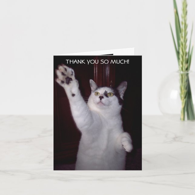 MIEZEKATZECAT DANKEN IHNEN ZU KARDIEREN DANKESKARTE (Vorderseite)