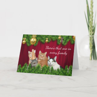 Miezekatzefamilie Weihnachten