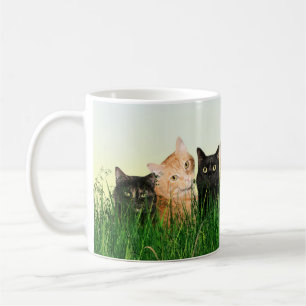 Miezekatzekatzen im Gras Kaffeetasse