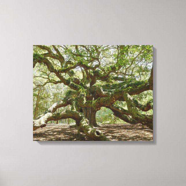 Mighty Angel Oak Leinwanddruck (Vorderseite)