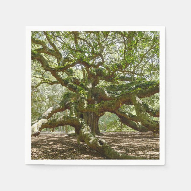 Mighty Angel Oak Serviette (Vorderseite)