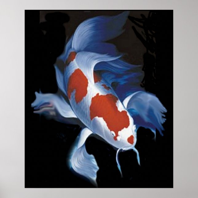 Mighty Koi Poster (Vorne)