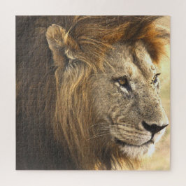 Mighty Lion
