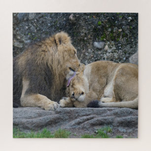 Mighty Lion Liebe