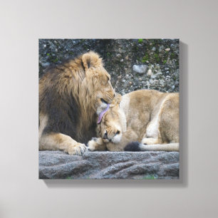 Mighty Lion Liebe Leinwanddruck