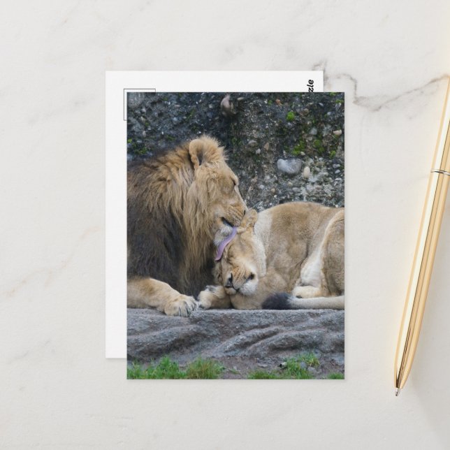 Mighty Lion Liebe Postkarte (Vorderseite/Rückseite Beispiel)