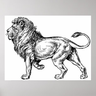 Mighty Lion Sketch Poster