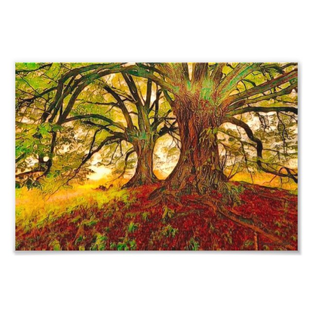 Mighty Oak Fotodruck (Vorne)