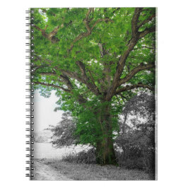 Mighty Tree Notizblock